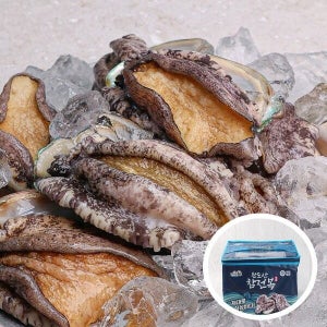 [오늘신선] 산지직송 청정 완도군 노화도 전복 선물세트 1kg 7-8미