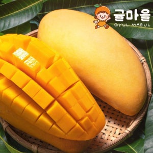 귤마을 달콤한 태국 골드망고 4kg 8-14과