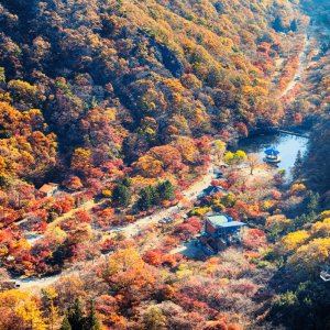 남도 가을 단풍 명소 1박2일 기차여행 패키지 [내장산/내소사/선운사]