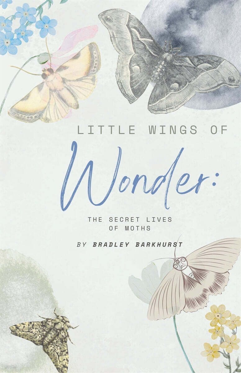 Little Wings of Wonder (The Secret Lives of Moths)