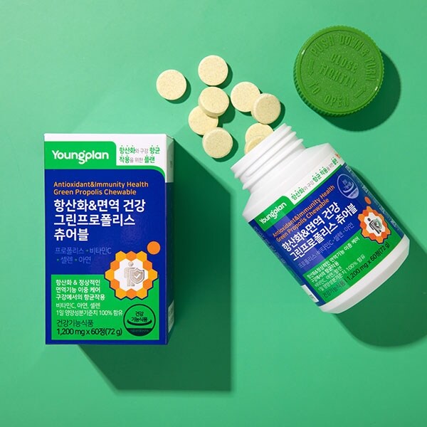 면역·항산화 프로폴리스