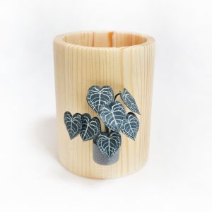 안스리움의 숨결, 헤븐