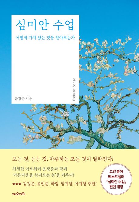 심미안 수업 (어떻게 가치 있는 것을 알아보는가) 표지