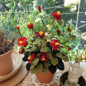 동백꽃나무(손뜨개), 화공방