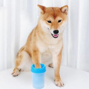 반려동물 반려견 강아지 분리형 실리콘 산책 발세척기