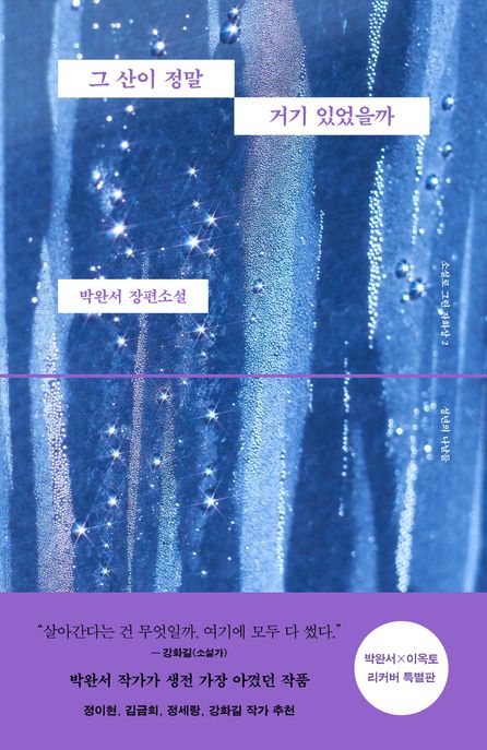 그 산이 정말 거기 있었을까  : 박완서 장편소설 표지