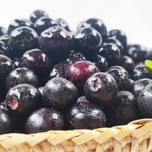 꼭지까지 제거한 슈퍼푸드 햇킹스베리 냉동 아로니아 특품 1kg
