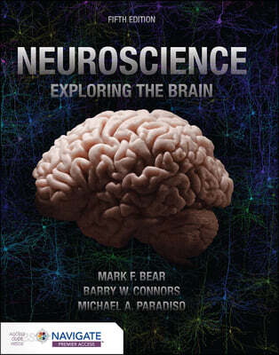 Neuroscience :exploring the brain