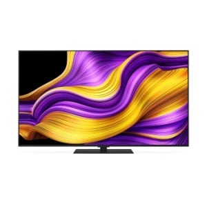 LG 올레드 evo AI (스탠드형) OLED55G5KNA
