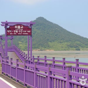 신안군 목포여행코스 신안여행코스 신안가볼만한곳 반월박지도 신안