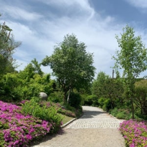 평창군 봉평메밀꽃 발왕산케이블카 평창 당일 한국자생식물원