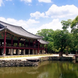 남원시 2식제공 지리산 당일 올인원 전라남도광양여행