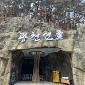 평창군 강원도가볼만한곳 메밀꽃잔치 발왕산케이블카 평창관광지 광천선굴테마파크