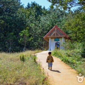 신안군 목포가볼만한곳 천연기념물 목포해상케이블카 반월박지도 남도섬힐링