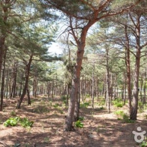 양양군 고성가볼만한곳 속초중앙시장 연합상품 양양가볼만한곳 설악산