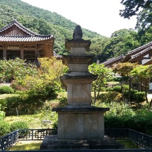 영주시 단풍여행 부석사 연합상품 당일 영주