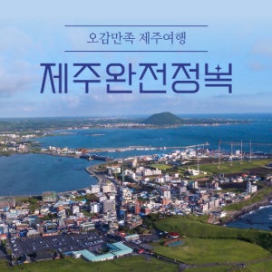 서귀포시 제주도바다 유채꽃 차귀도관광 사려니숲길 제주도가볼만한곳