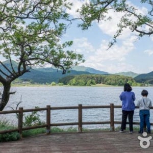 양양군 양양여행 가을여행 고성가볼만한곳 설악산 고성여행코스