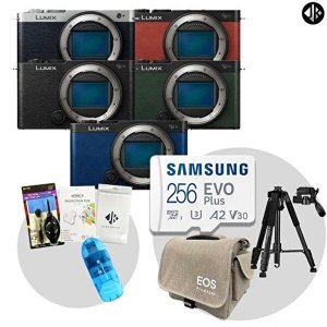 파나소닉 [파나소닉]파나소닉 루믹스 DC-S9 바디 + 256GB 메모리 + 악세사리 풀패키지