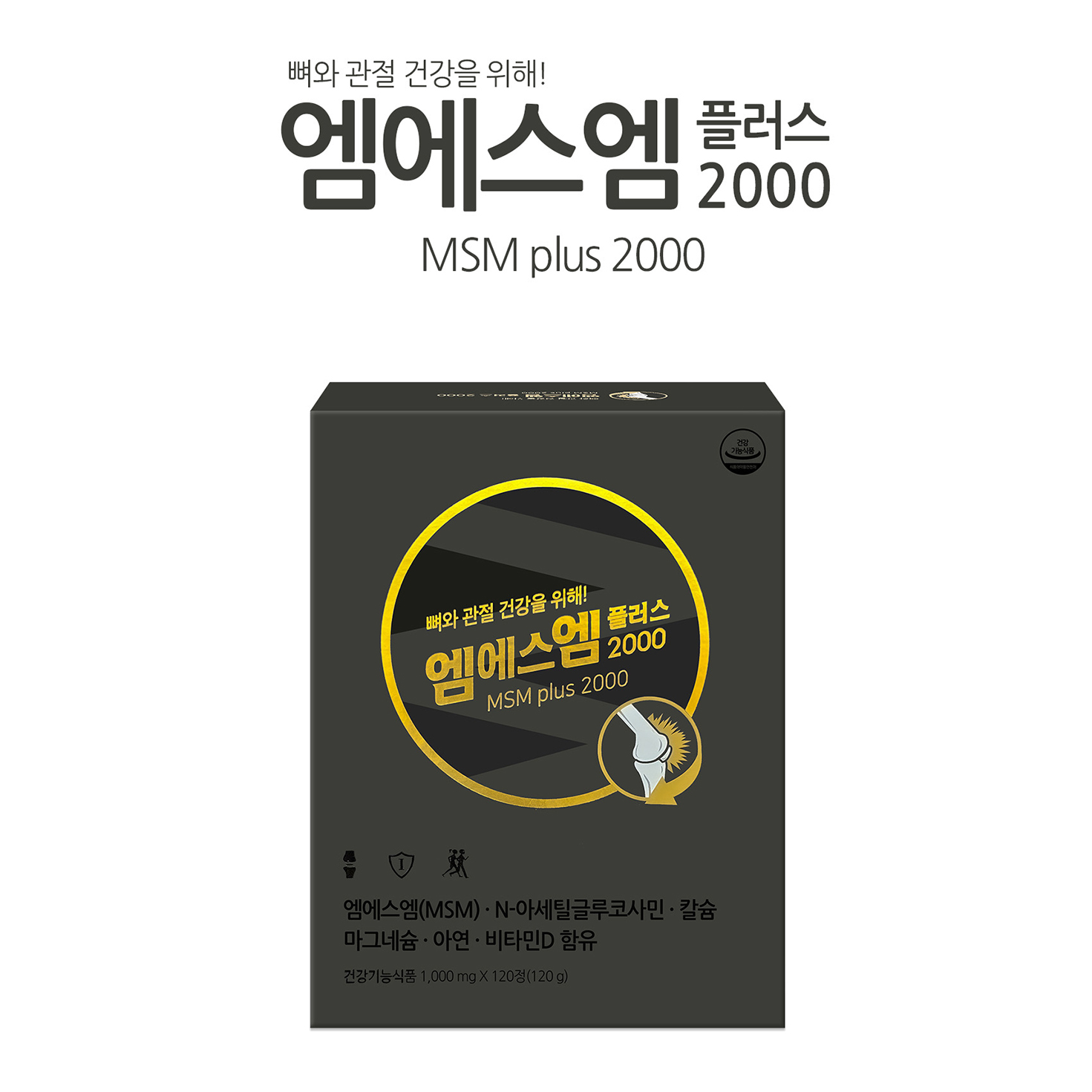 엠에스엠플러스 2000