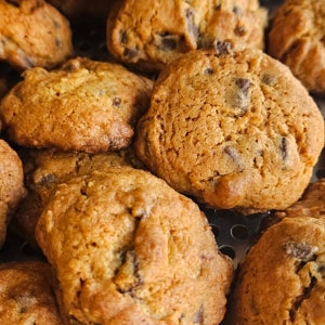 🤎 초코듬뿍  초코쿠키 🤎푸짐한 초코쿠키 🤎, 순수갸또