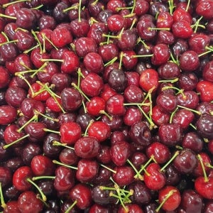 체리 2kg 특대