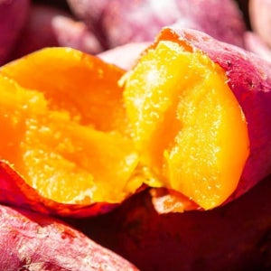 호박과 밤의 조화 달콤한 햇 호풍미 당근 고구마 2kg