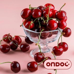 온도씨 [온도씨]캐나다산 생체리 2kg