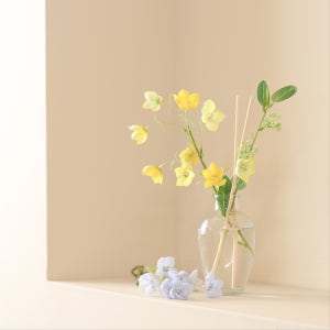 미니 델피늄 디퓨저 100mL 향 13종 벨벳무화과, ASPASIA 디퓨저 & 점보 꽃다발