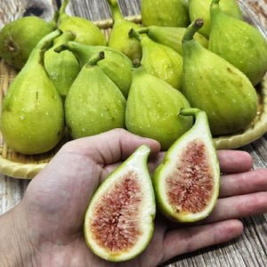 산지직송 청무화과 1kg