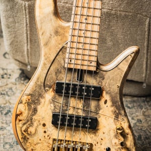 Fodera Emperor 5 Standard Special LTD-Buckeye Burl Top w/Birdseye Maple Fingerboard & Trans Pickguar