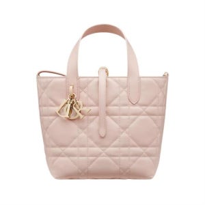 디올 Toujours 스몰 버티컬 토트백 M2835OSNW M413