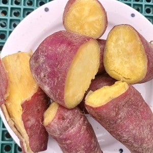 김복실농장 맛도 모양도 예쁜 황토 고구마 햇밤고구마 5kg/10kg