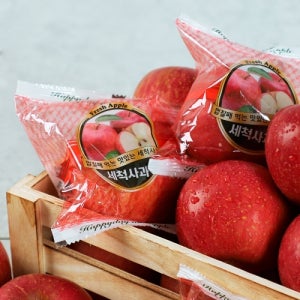 기타 [오늘아침사과] 오늘아침 세척사과 5kg 28과