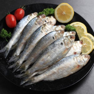 제철 맞은 가을 전어 구이용 (급냉) 500g 4팩(팩당 6~10미)