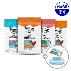 뉴트로 내추럴 초이스 [쿠폰할인] 뉴트로 캣 6.35kg 택1+캣닢쿠션+베베숲물티슈1팩