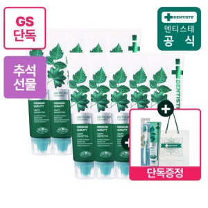 [추석선물] 덴티스테 안티캐비티 100g 10개입 (+치약 60g+칫솔+쇼핑백 증정)