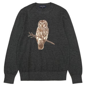 광고 메인 이미지