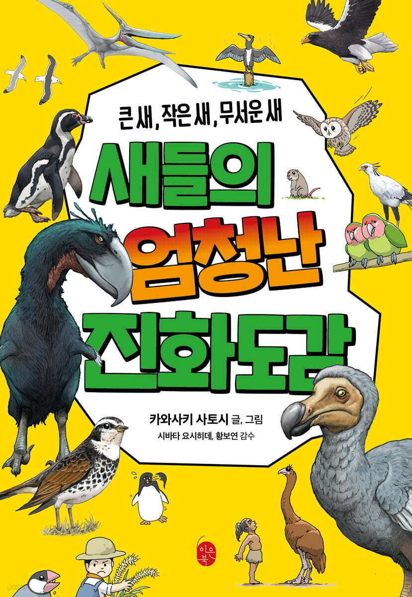 (큰새, 작은 새, 무서운 새)새들의 엄청난 진화도감