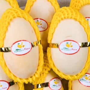 골드망고 2.5kg(5-8과)