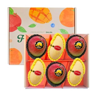 애플 망고&골드 망고 혼합 선물세트 2.2kg 내외(6입)