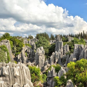 쿤밍 석림 & 주샹 풍경구 반나절 프라이빗 투어