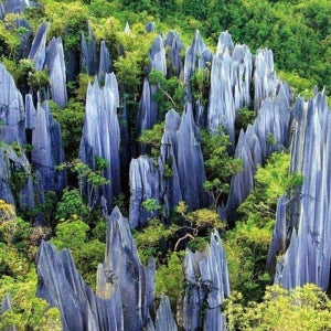 쿤밍 석림 & 청쯔 고대 마을 프라이빗 일일 투어
