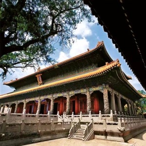 베이징 취푸 공묘 개인 당일 여행