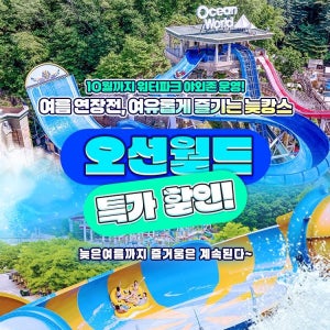 오션월드 (미드썸머/레이트썸머/미드어텀) 비발디파크 오션월드 특가