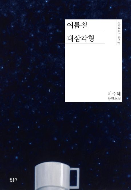 여름철 대삼각형 (이주혜 장편소설) 표지