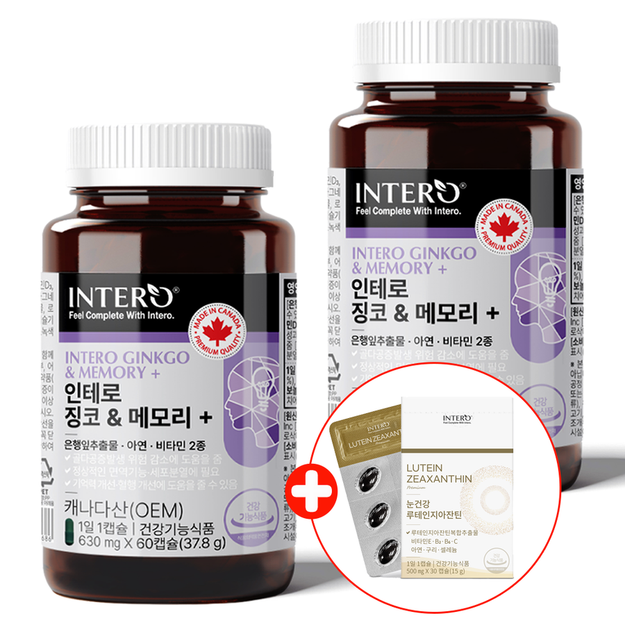 인테로 징코플러스 메모리 2개 <b>은행잎추출물</b> <b>플라보놀배당체</b> 기억력 두뇌 징코
