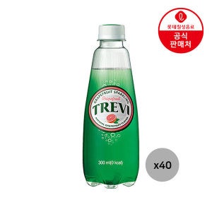 롯데칠성 트레비 자몽 300ml 20펫 2박스(총 40펫)