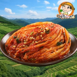 강원도 고랭지 배추김치