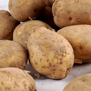 지투지샵 두백감자 10kg 중소사이즈 혼합